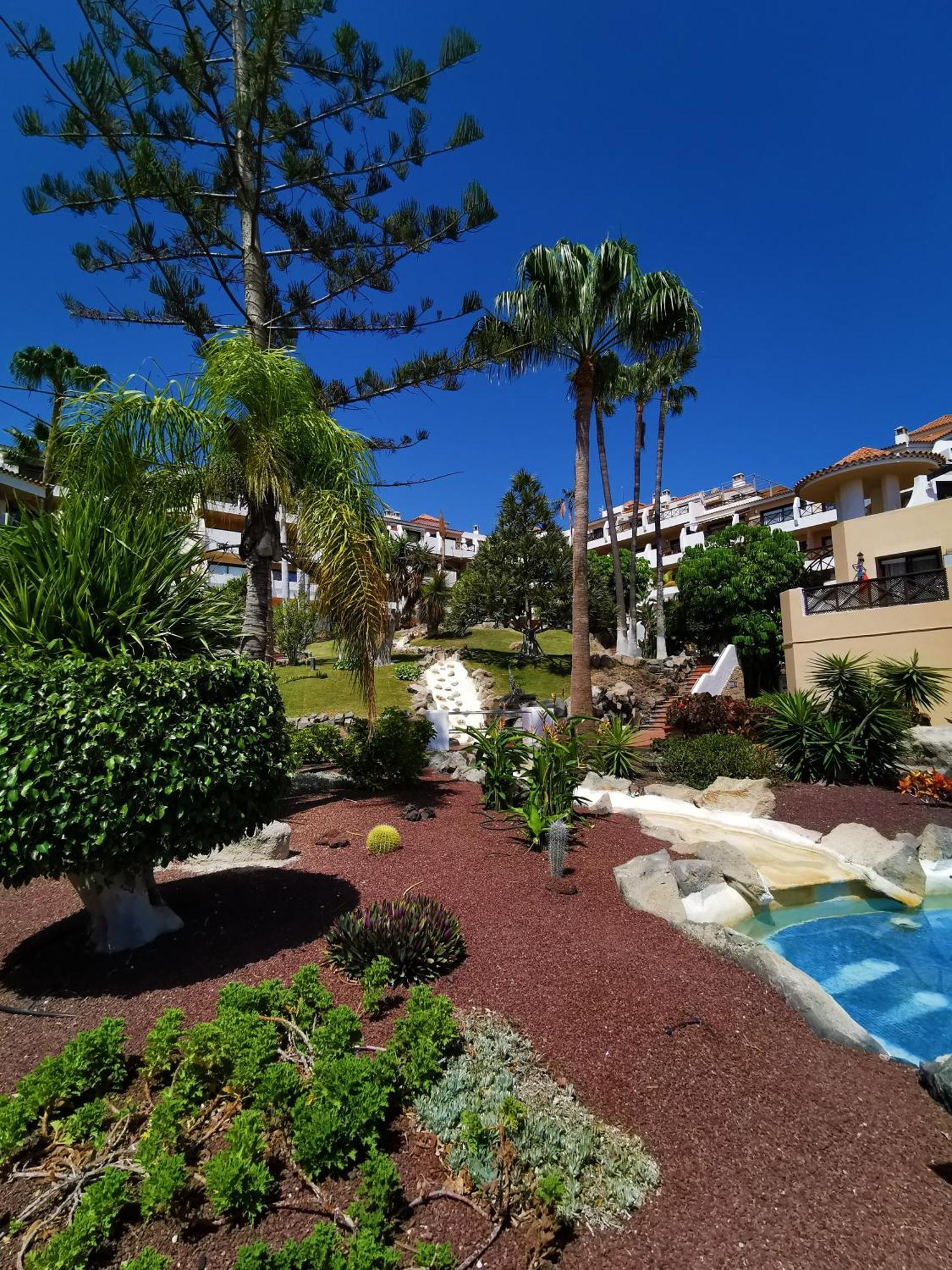 Strelitzia Apartment - Ocean View & Heated Pool San Miguel de Abona Exterior foto